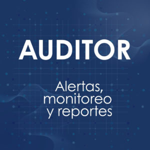 SAG Auditor erp