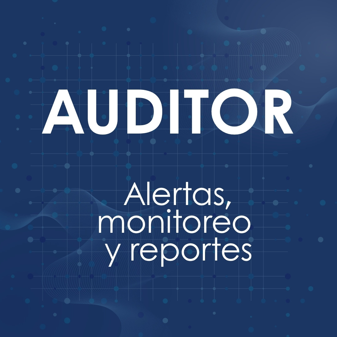SAG Auditor erp