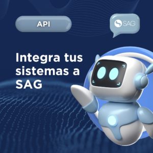 API Ecommerce SAG
