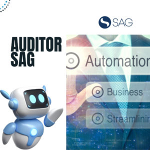 AuditorSAG