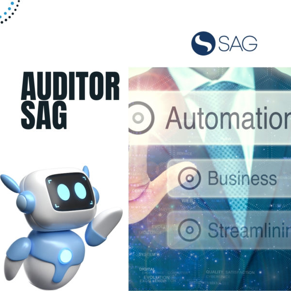 AuditorSAG