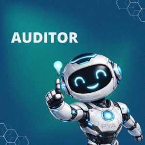 Auditor SAG