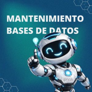 Mantenimiento Base de Datos