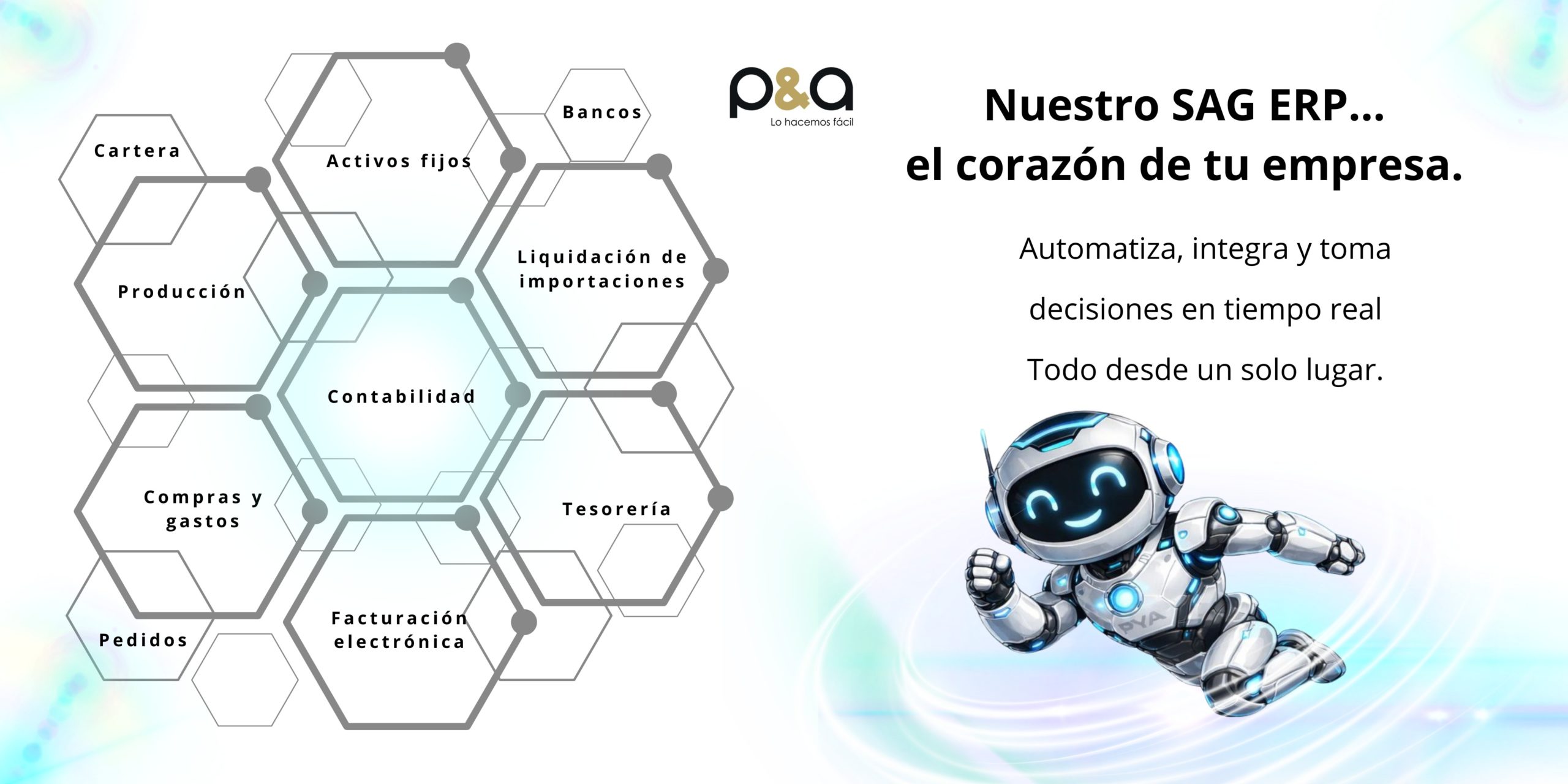 Servicios de SAG ERP